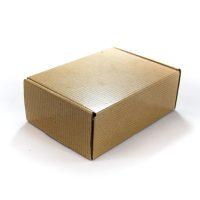 CAJA-DE-EMBALAJE-MOD-PLAST